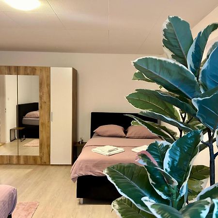 Tas24Ch Travel And Sleep 24 Apartment St. Gallen Ngoại thất bức ảnh